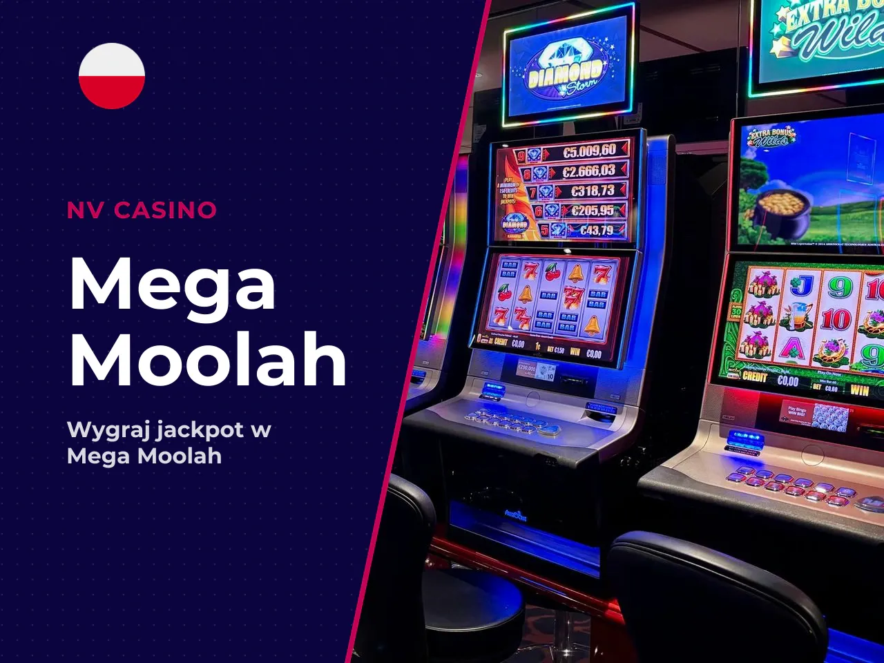 Bonus wheel, darmowe spiny i jackpot bonus. Uruchomienie rundy darmowych obrotów (free spins) następuje po wylosowaniu minimum trzech symboli szamana (scatter). Gracz otrzymuje wówczas **15 darmowych