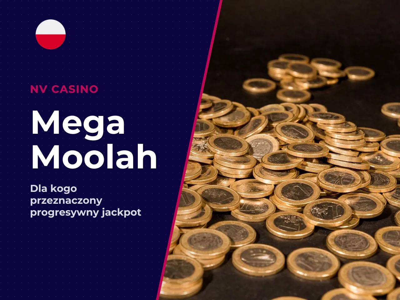 Dla jakiego użytkownika pasuje Mega Moolah. Mega Moolah jest dopasowany głównie do doświadczonych graczy świadomych wysokiego ryzyka nagłych strat w dążeniu do aktywacji bonusowych mechanizmów. Format